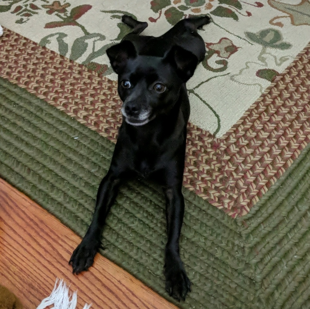 Meet your Posher, Elizabeth